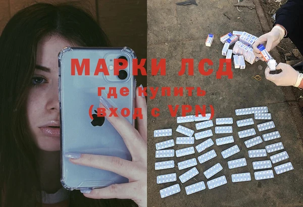прущие грибы Балахна