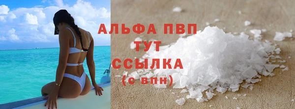 сатива Баксан
