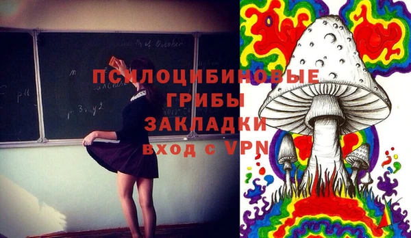 прущие грибы Балахна