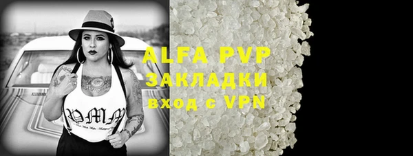 прущие грибы Балахна
