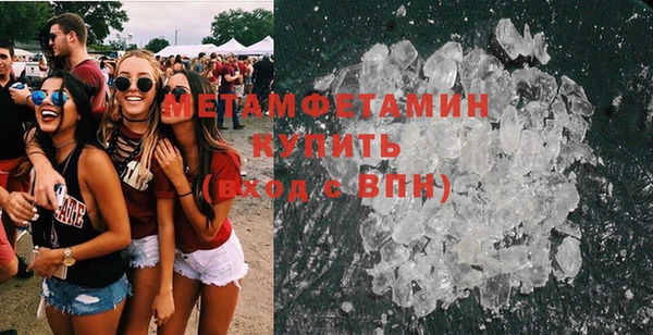 прущие грибы Балахна