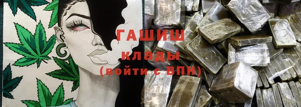 прущие грибы Балахна