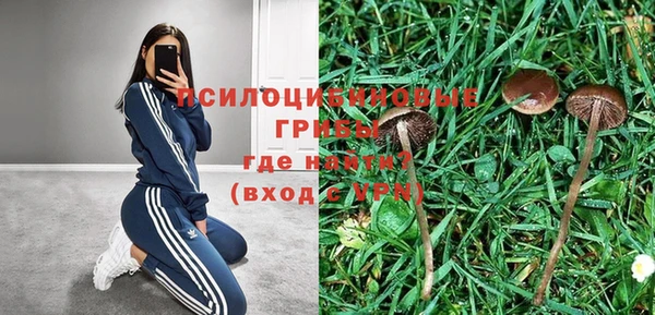 прущие крисы Балабаново