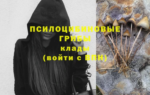 сатива Баксан