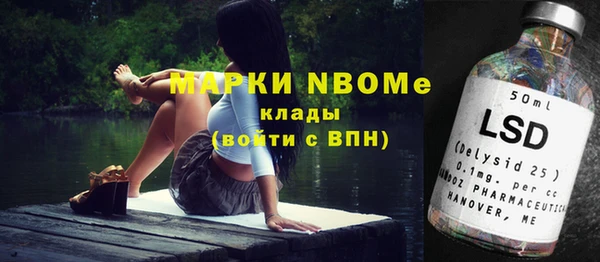 прущие грибы Балахна