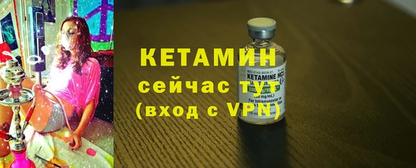 прущие грибы Балахна